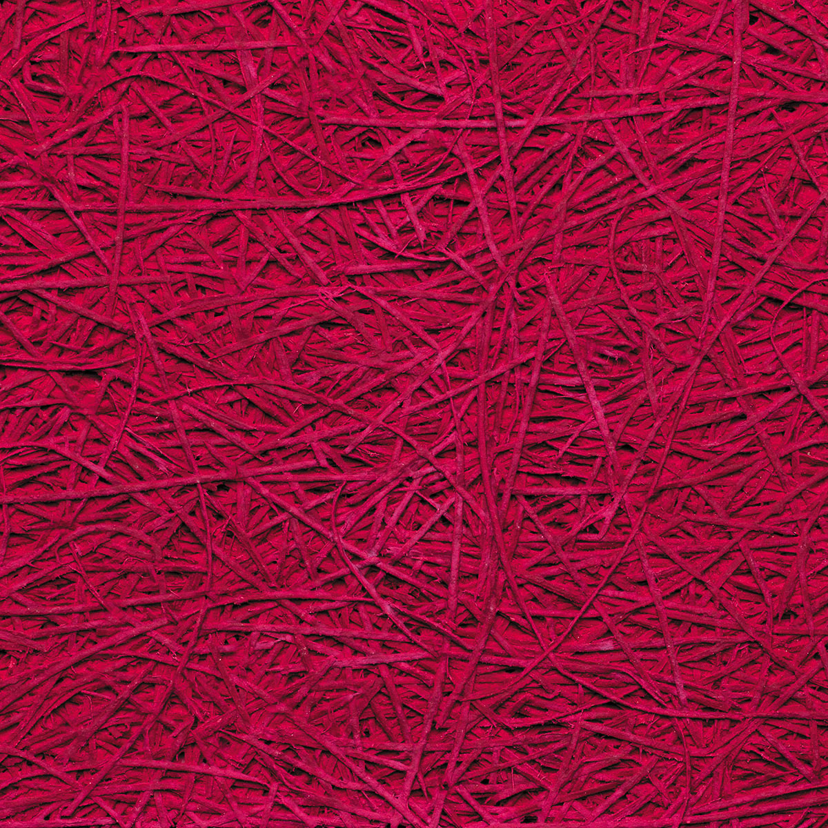 Organic - coloris Aubergine.jpg